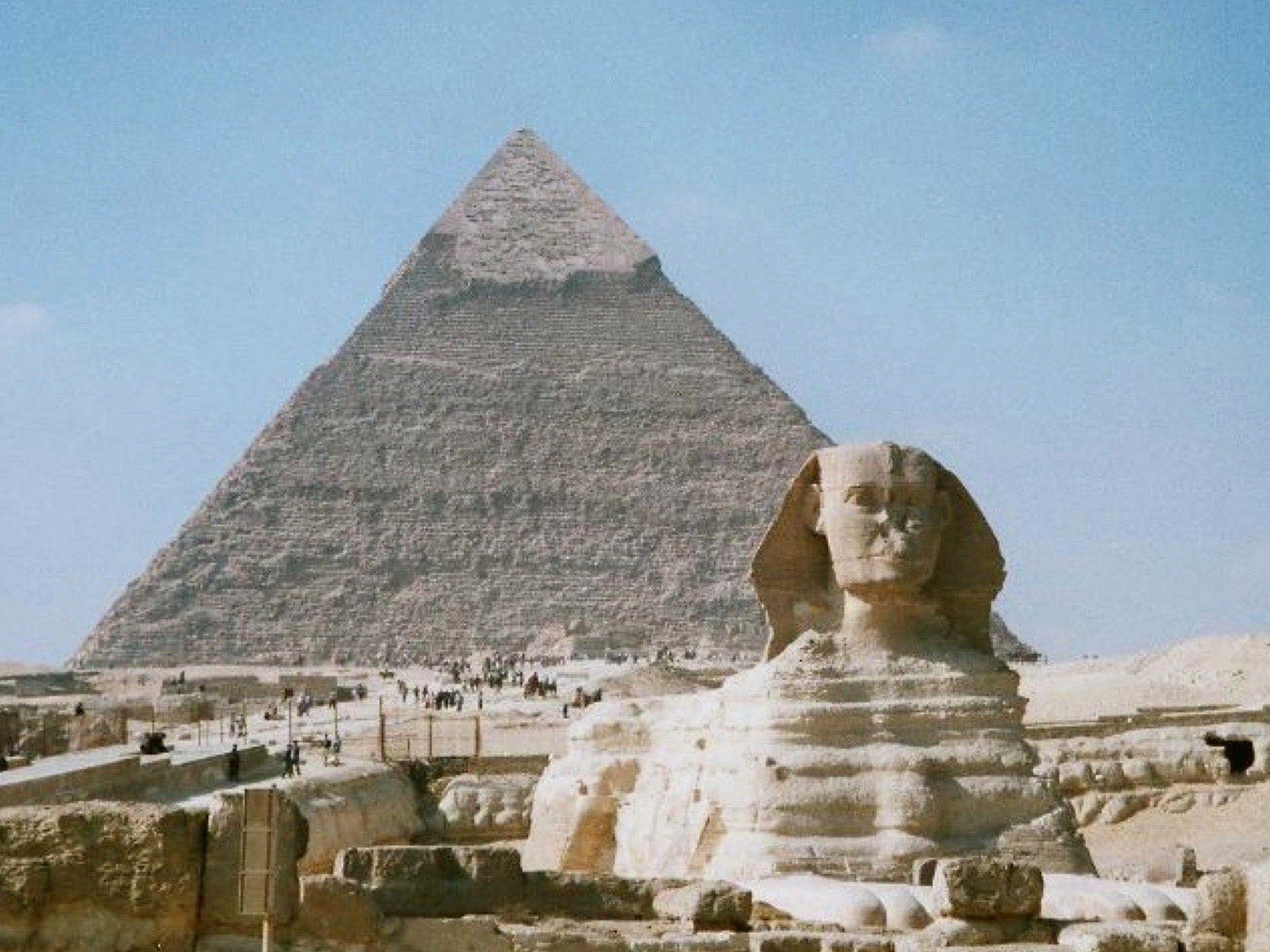 Cairo museum gallery with ancient Egyptian statues under warm exhibition lighting